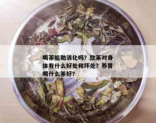 喝茶能助消化吗？饮茶对身体有什么好处和坏处？养胃喝什么茶好？