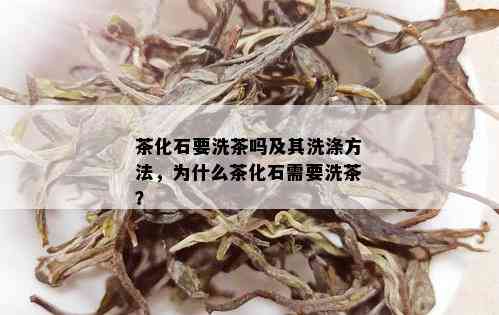 茶化石要洗茶吗及其洗涤方法，为什么茶化石需要洗茶？