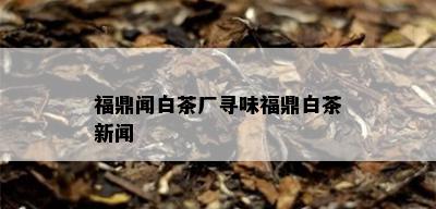 福鼎闻白茶厂寻味福鼎白茶新闻