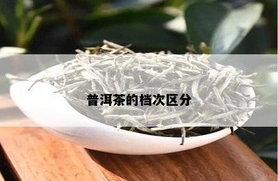 普洱茶的档次区分