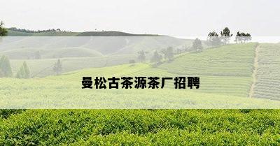 曼松古茶源茶厂招聘