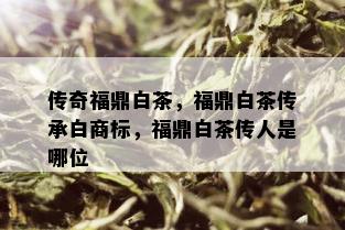 传奇福鼎白茶，福鼎白茶传承白商标，福鼎白茶传人是哪位