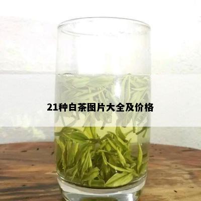 21种白茶图片大全及价格