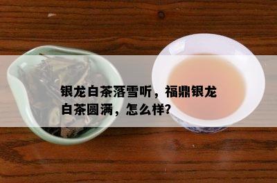 银龙白茶落雪听，福鼎银龙白茶圆满，怎么样？