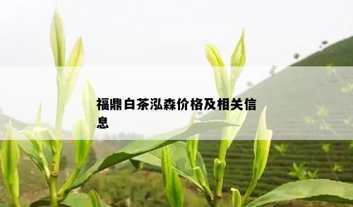 福鼎白茶泓森价格及相关信息