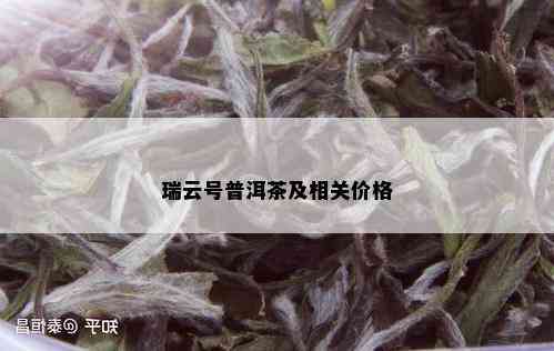 瑞云号普洱茶及相关价格