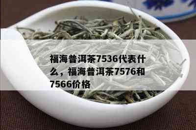 福海普洱茶7536代表什么，福海普洱茶7576和7566价格