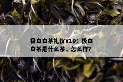 极白白茶礼仪V10：极白白茶是什么茶，怎么样？