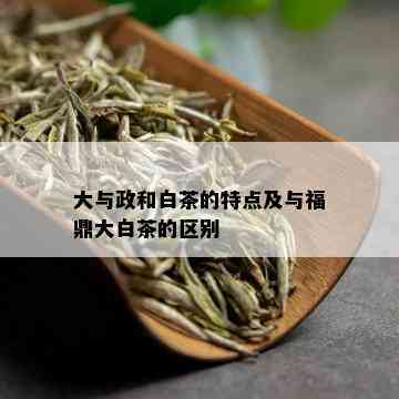 大与政和白茶的特点及与福鼎大白茶的区别