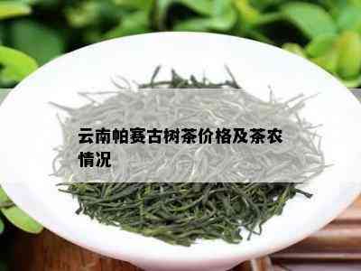 云南帕赛古树茶价格及茶农情况