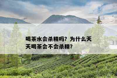 喝茶水会杀精吗？为什么天天喝茶会不会杀精？