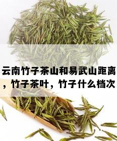 云南竹子茶山和易武山距离，竹子茶叶，竹子什么档次