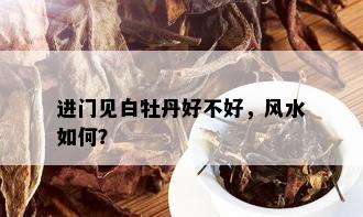 进门见白牡丹好不好，风水如何？