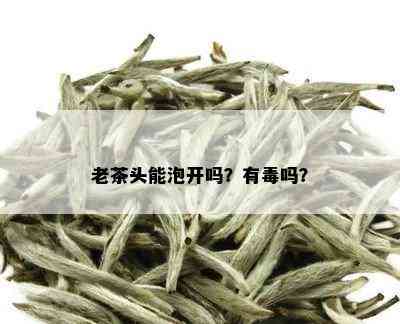 老茶头能泡开吗？有吗？