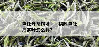 白牡丹茶福鼎——福鼎白牡丹茶叶怎么样？