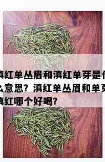 滇红单丛眉和滇红单芽是什么意思？滇红单丛眉和单芽滇红哪个好喝？