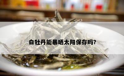 白牡丹能暴晒太阳保存吗？