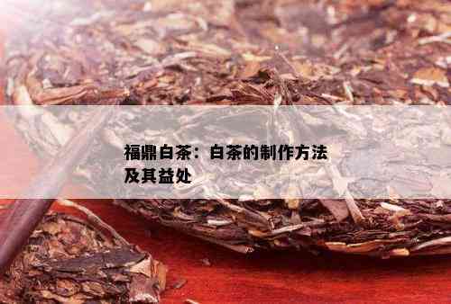 福鼎白茶：白茶的制作方法及其益处