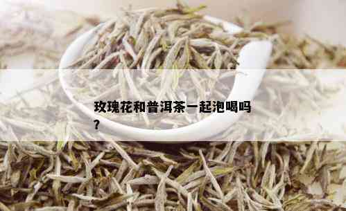 玫瑰花和普洱茶一起泡喝吗？