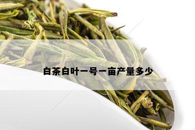 白茶白叶一号一亩产量多少