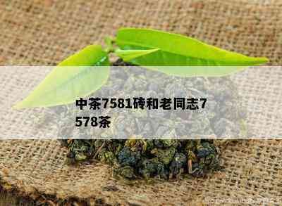 中茶7581砖和老同志7578茶