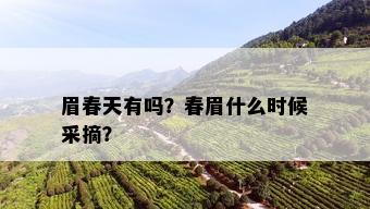 眉春天有吗？春眉什么时候采摘？