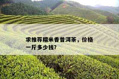 求推荐糯米香普洱茶，价格一斤多少钱？