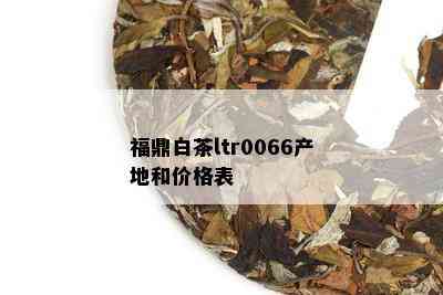 福鼎白茶ltr0066产地和价格表