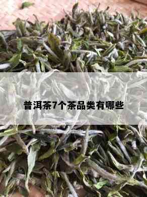 普洱茶7个茶品类有哪些