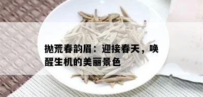 抛荒春韵眉：迎接春天，唤醒生机的美丽景色