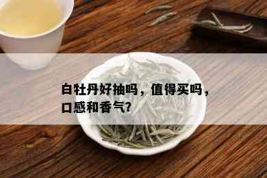 白牡丹好抽吗，值得买吗，口感和香气？