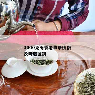 3000克枣香老白茶价格及味道区别