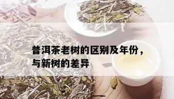 普洱茶老树的区别及年份，与新树的差异