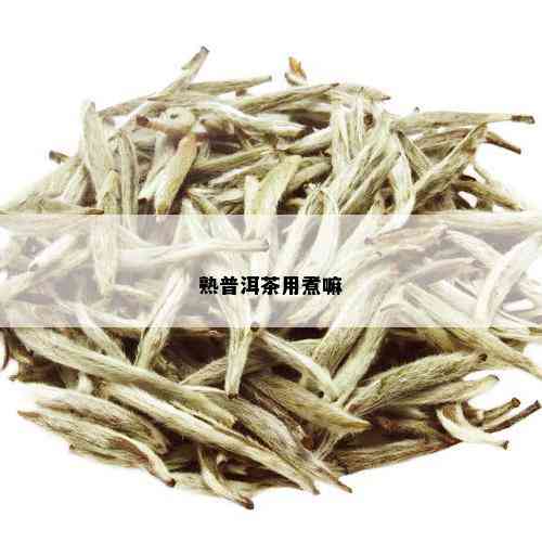 熟普洱茶用煮嘛