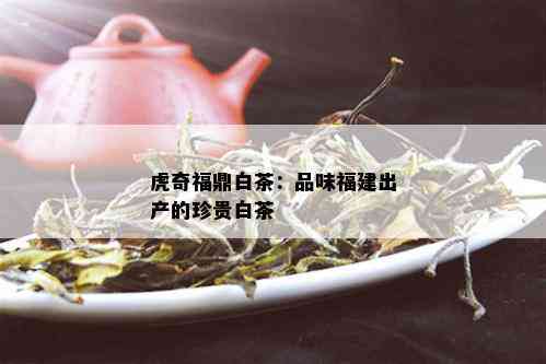 虎奇福鼎白茶：品味福建出产的珍贵白茶