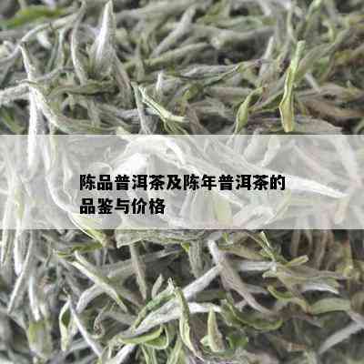 陈品普洱茶及陈年普洱茶的品鉴与价格