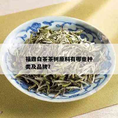 福鼎白茶茶树原料有哪些种类及品牌？