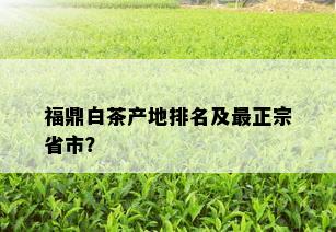 福鼎白茶产地排名及最正宗省市？