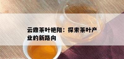 云鼎茶叶艳阳：探索茶叶产业的新路向