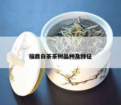 福鼎白茶茶树品种及特征