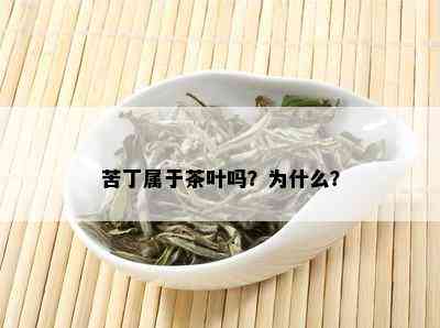 苦丁属于茶叶吗？为什么？