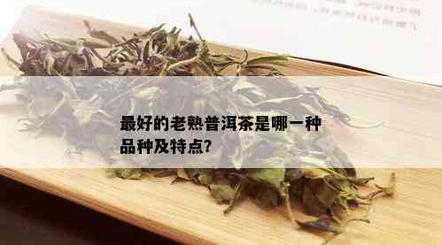 更好的老熟普洱茶是哪一种品种及特点？