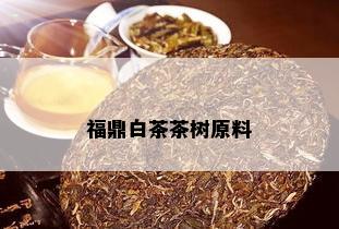 福鼎白茶茶树原料