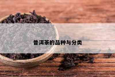 普洱茶的品种与分类