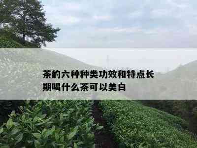 茶的六种种类功效和特点长期喝什么茶可以美白