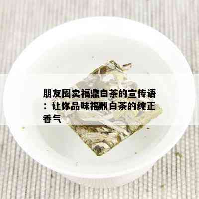 朋友圈卖福鼎白茶的宣传语：让你品味福鼎白茶的纯正香气