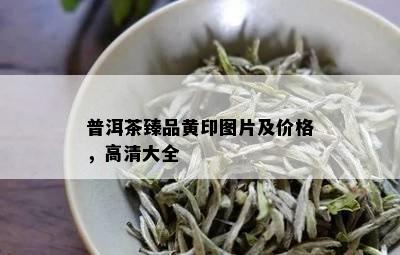 普洱茶臻品黄印图片及价格，高清大全