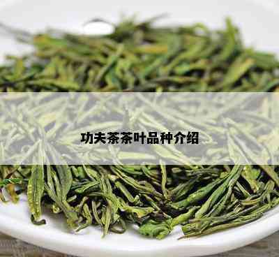 功夫茶茶叶品种介绍