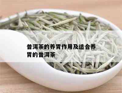 普洱茶的养胃作用及适合养胃的普洱茶