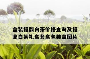 盒装福鼎白茶价格查询及福鼎白茶礼盒套盒包装盒图片